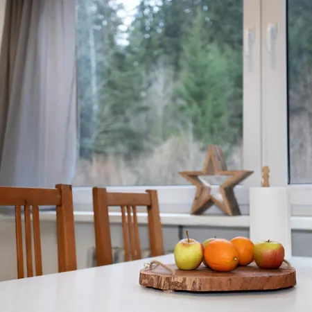 Na Tanvaldskem Spicaku Apartment *